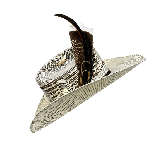 The Maverick
